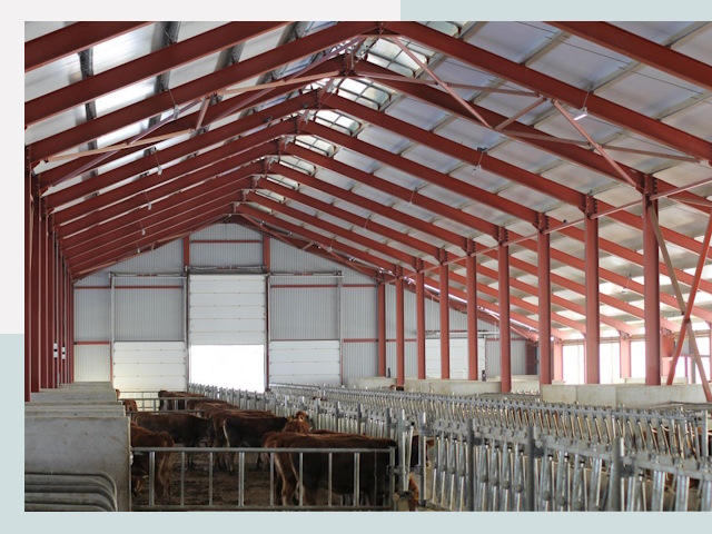 Строительство коровников в Еманжелинске