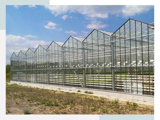 Строительство теплиц в Еманжелинск от 616 руб. за м²
