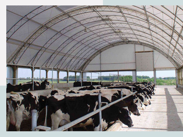 Тентовые коровники в Еманжелинске